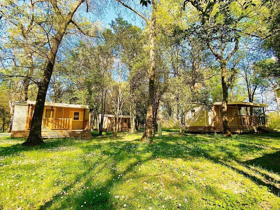 Camping Du Lion Bourg-Saint-Andéol Eksteriør bilde