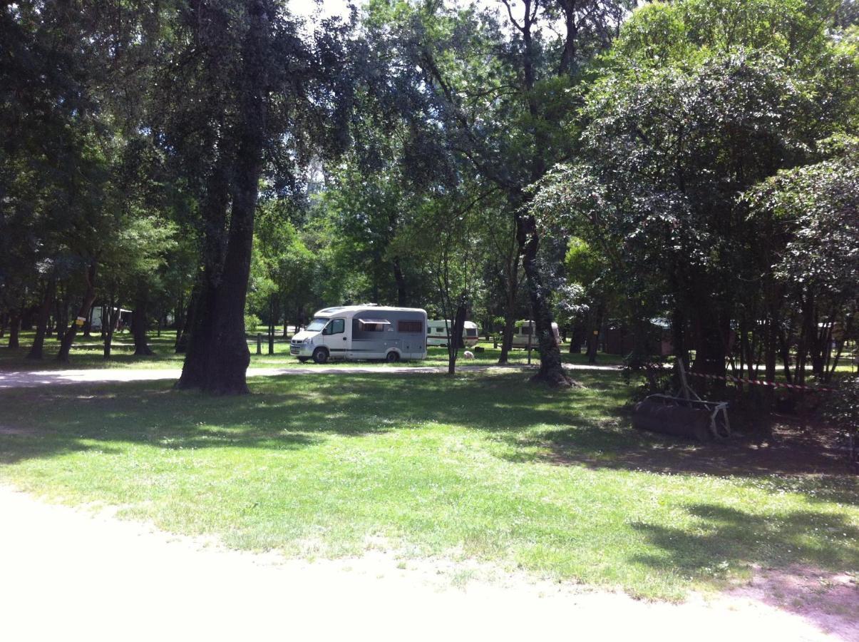 Camping Du Lion Bourg-Saint-Andéol Eksteriør bilde