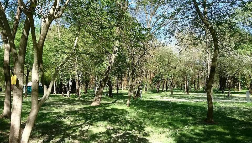 Camping Du Lion Bourg-Saint-Andéol Eksteriør bilde