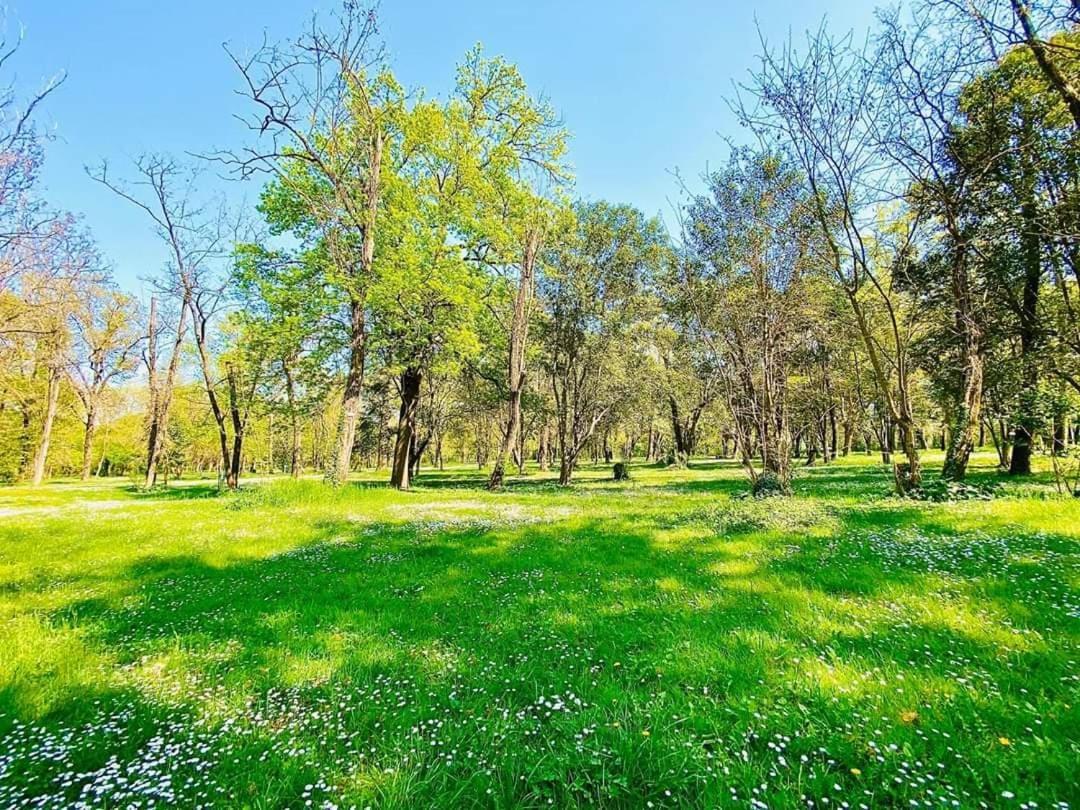Camping Du Lion Bourg-Saint-Andéol Eksteriør bilde